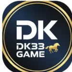 DK333-Game