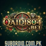 Qaidi804 Game